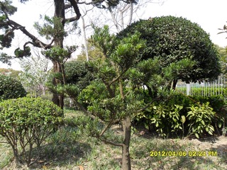 3BAD671F-7D34-47BE-AA84-A1D77B86127B/L0/001