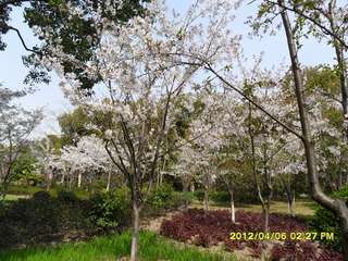 7E7FE34F-5C77-43FE-BD97-199120F1D080/L0/001