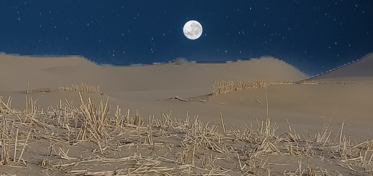 沙漠月夜