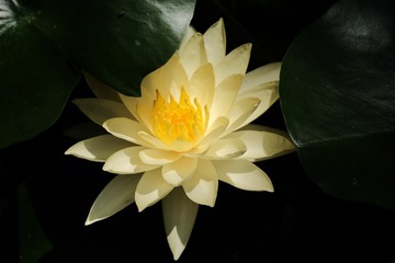 C4239D95-171D-422E-9E70-9BB7A669F0AB/L0/001