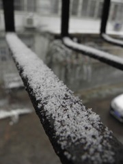 第一场雪
