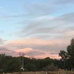 75AA0D17-40B2-4F2F-BD74-C2D97D5C6342/L0/001