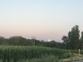 98839395-FE3E-4197-B21F-DD7AF9CA96C6/L0/001