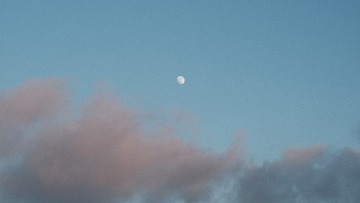 1037227