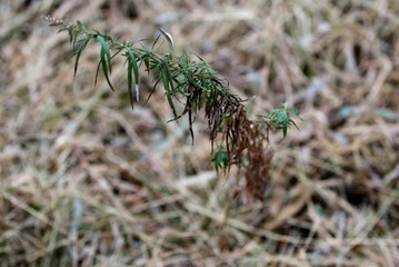 DSC_6049.jpg
