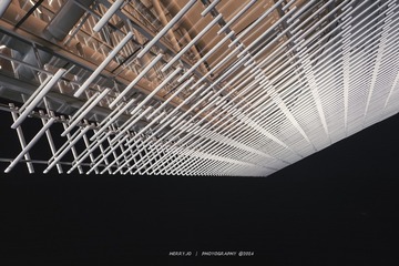 1000272978
