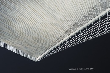 1000272984