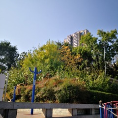 110