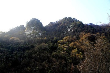 _MG_4731-1.jpg