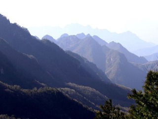 _MG_4803-1.jpg