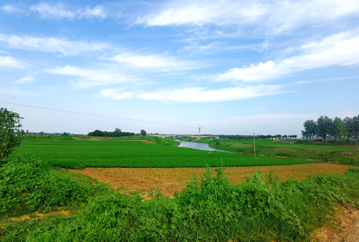 满满都是夏天的气息随手拍