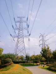 3746811