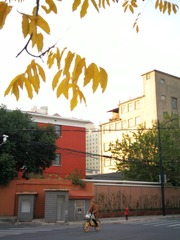 1637633