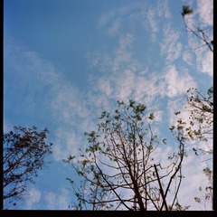 15A2647B-31B4-4BFC-B3D1-FA62F4D47499/L0/001