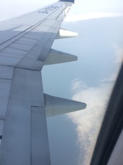 C31D8D19-F4F9-4CBB-B97C-71EC857470AD/L0/001