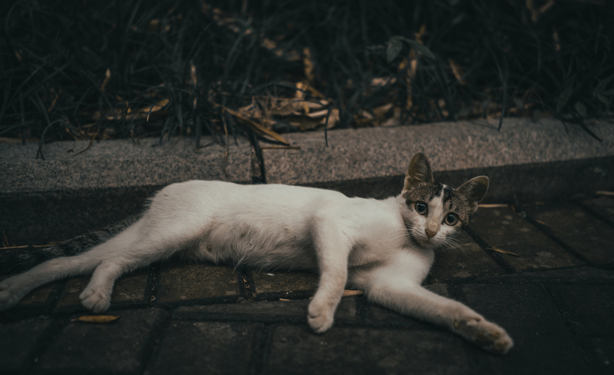 在静物中寻找充满生活气息的瞬间