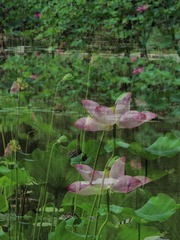DSCN5726_