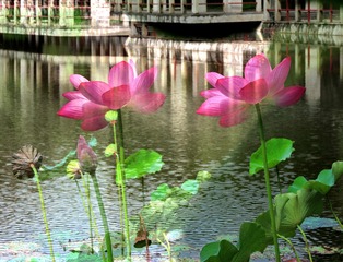 DSCN5723_