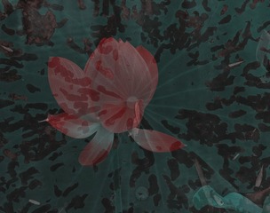 DSCN5783_