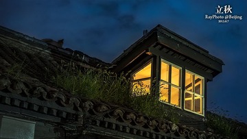 IMG_7136_crop_small.jpg
