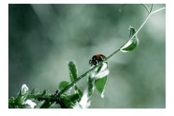 8C745B18-2320-4CEC-99EB-851DE8D4F3D5/L0/001