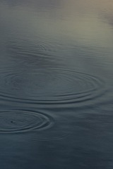 2437905