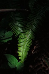 F5C689BF-97D4-4942-9A6E-AFFB835F7224/L0/001