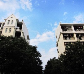 nEO_IMG_IMG_8262.jpg