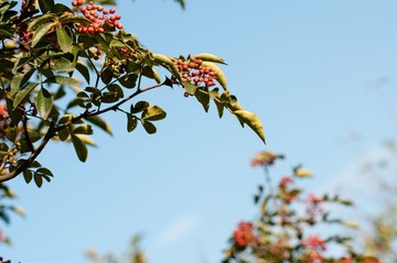 20141002-DSC_5081