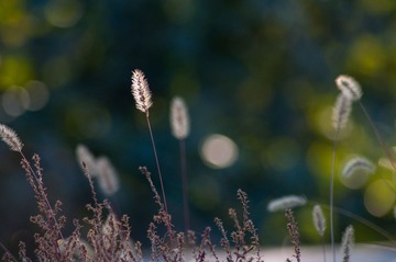 20141002-DSC_5094