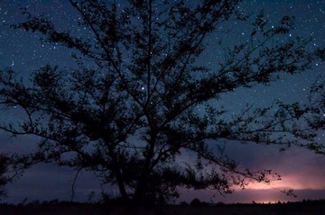 DSC_0567-Edit.jpg