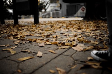 DSC_7000.jpg