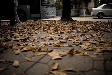 DSC_7002.jpg