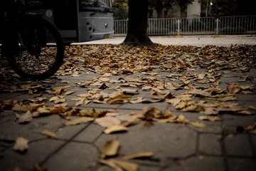 DSC_7003.jpg