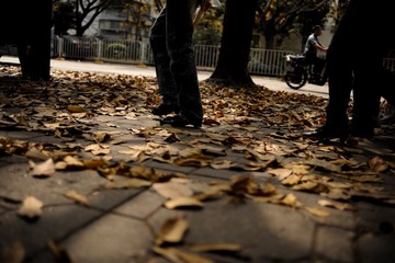 DSC_7005.jpg