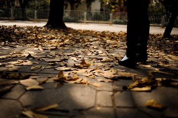DSC_7014.jpg
