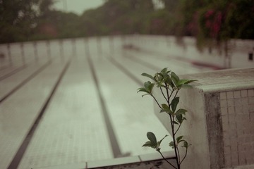 DSC_0170_调整大小.jpg