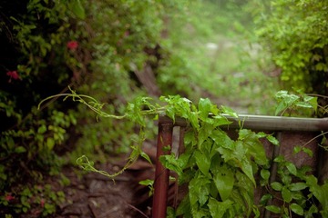 DSC_0172_调整大小.jpg