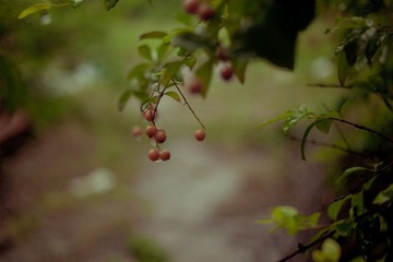 DSC_0174_调整大小.jpg