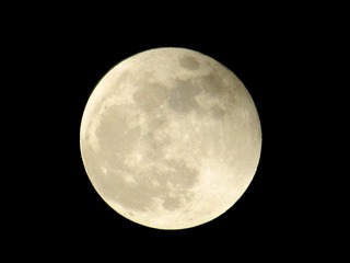 8C932E46-DA2F-4789-B8AF-E67938617D3B/L0/001