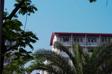 IMGP5066.jpg