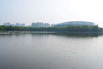 IMGP5119.jpg