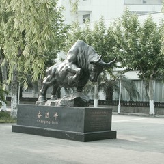 IMGP5122.jpg