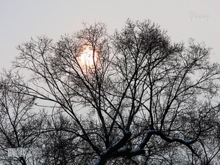 3698172