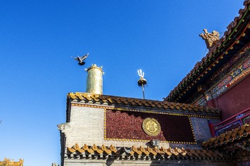 陈彦+无量寺的飞鸽+内蒙古呼和浩特无量寺