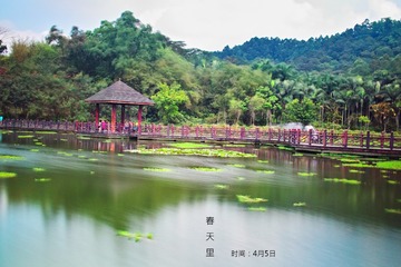 SDIM0027-