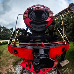SDIM0098-