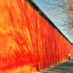 SDIM0533--