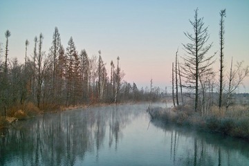 nEO_IMG_SDIM0376.jpg