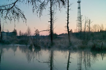nEO_IMG_SDIM0383.jpg